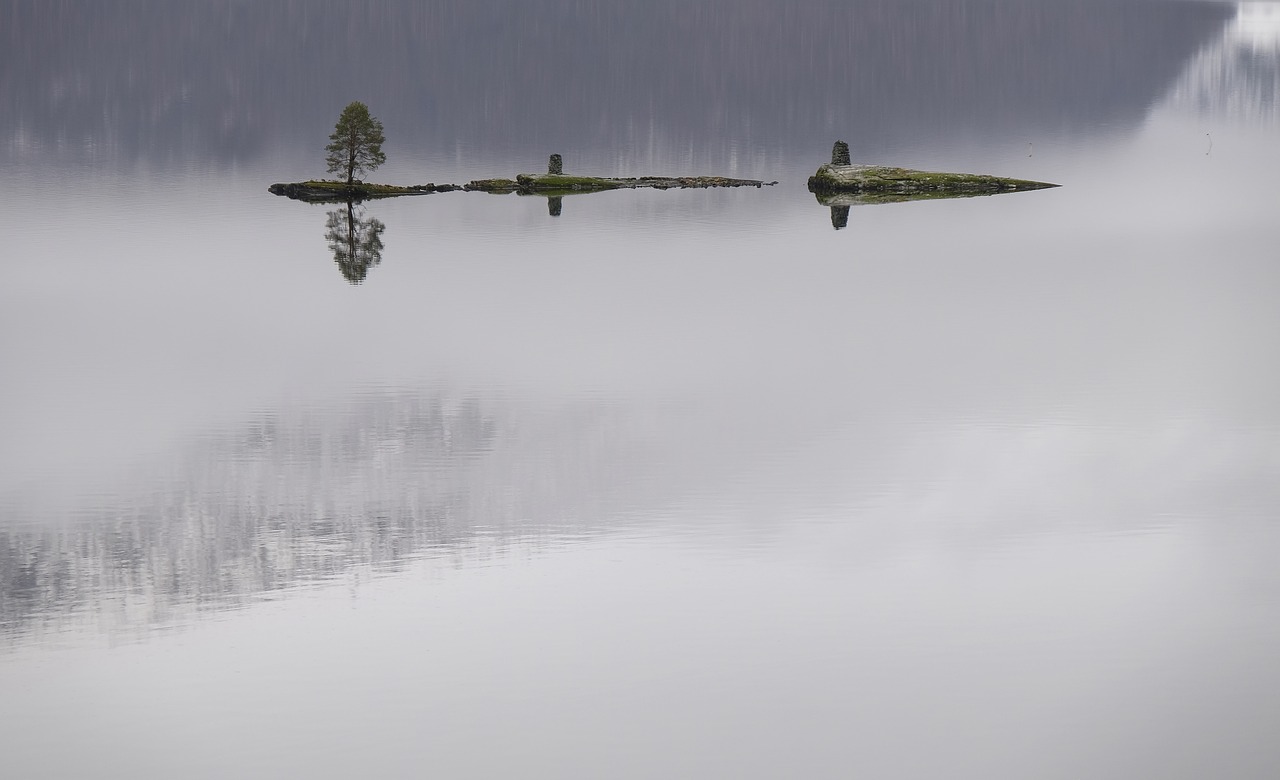 grass island lake free photo