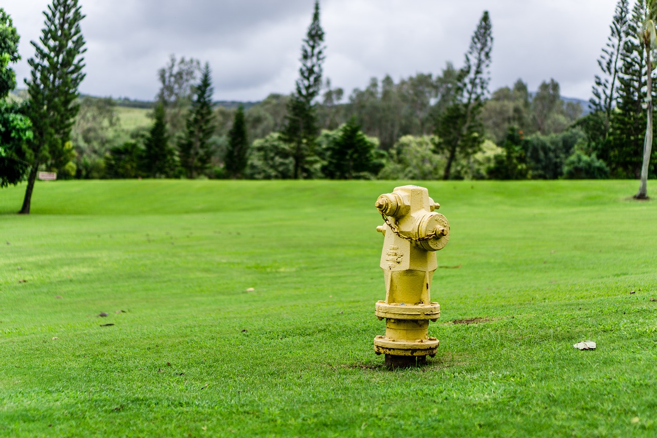 grass hydrant fire free photo