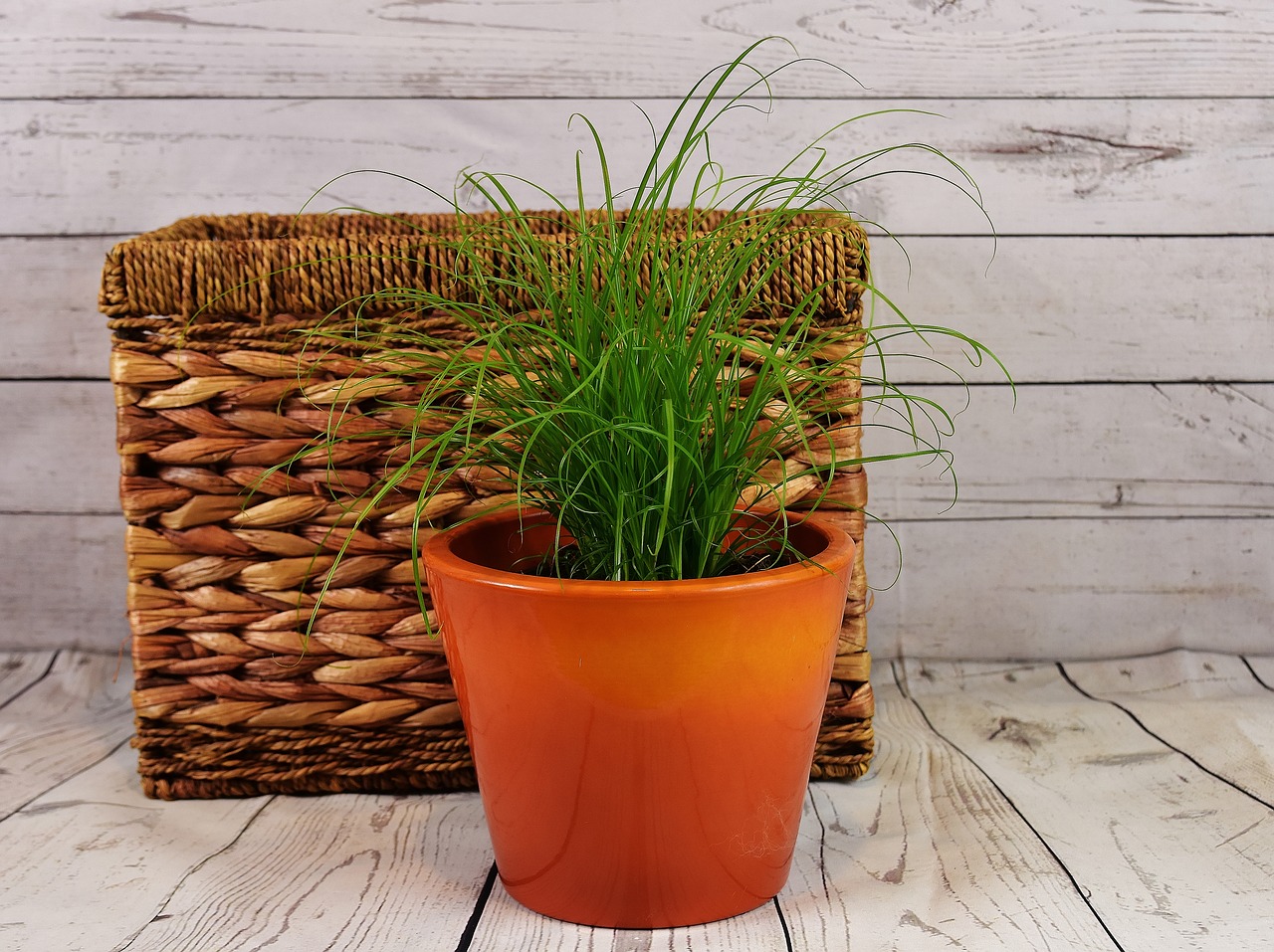 grass water hyacinth basket free photo