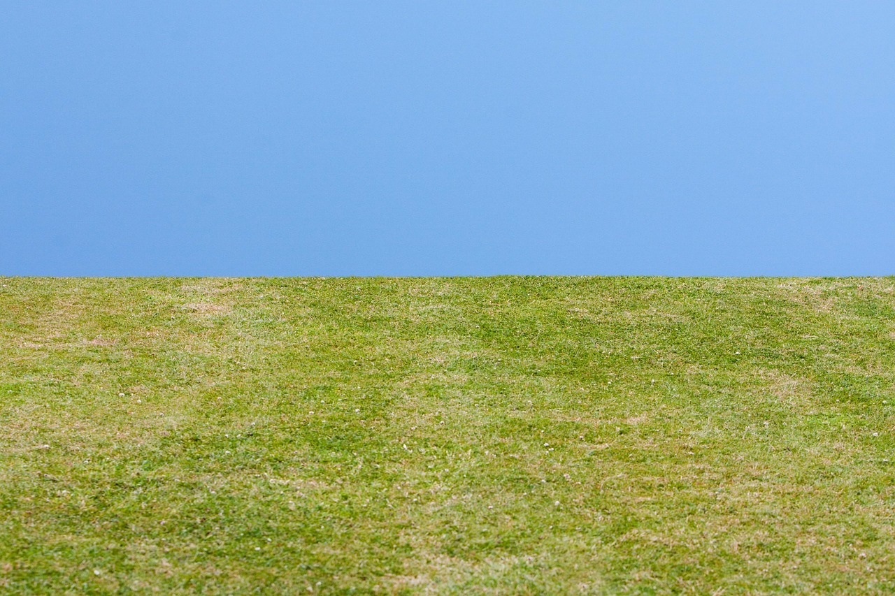 grass sky green grass free photo