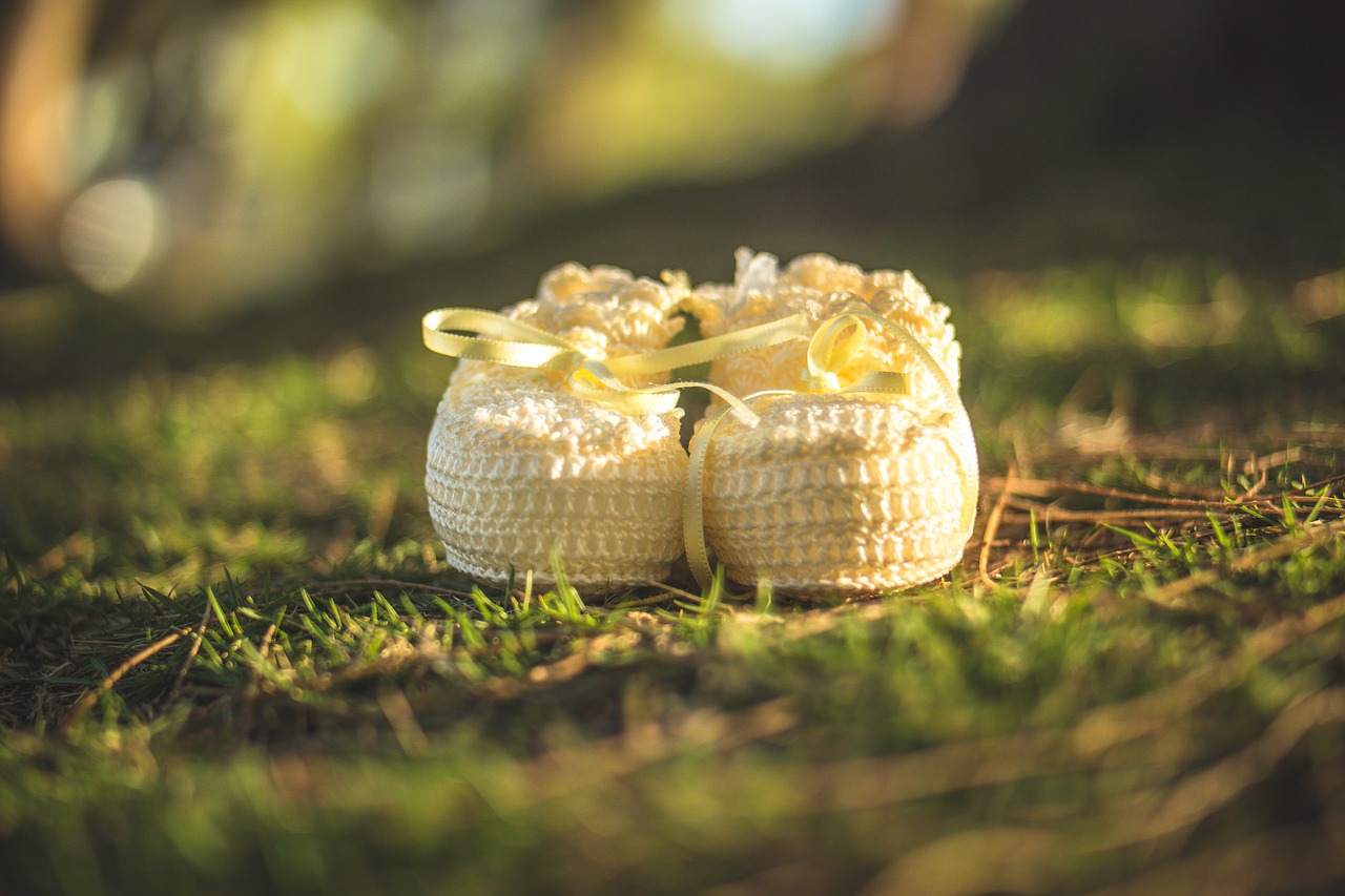 grass vegetation evening free photo