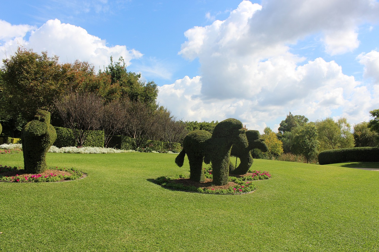 grass made elephant free photo