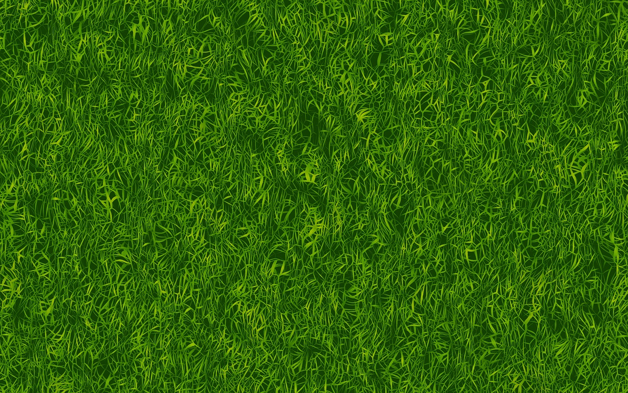 grass green texture free photo