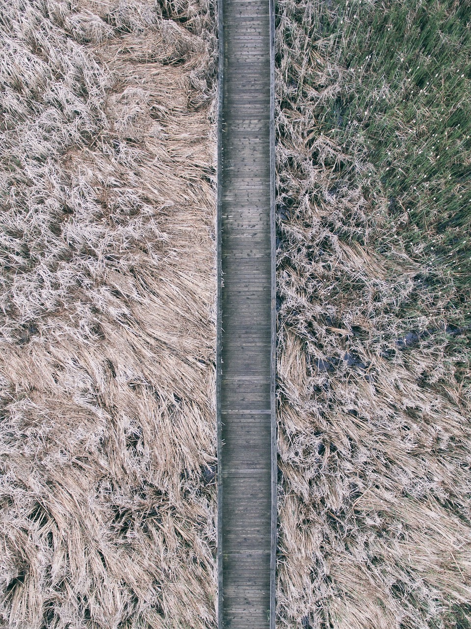 grass outdoor aerial free photo