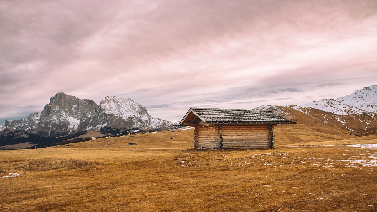 grass highland grassland free photo