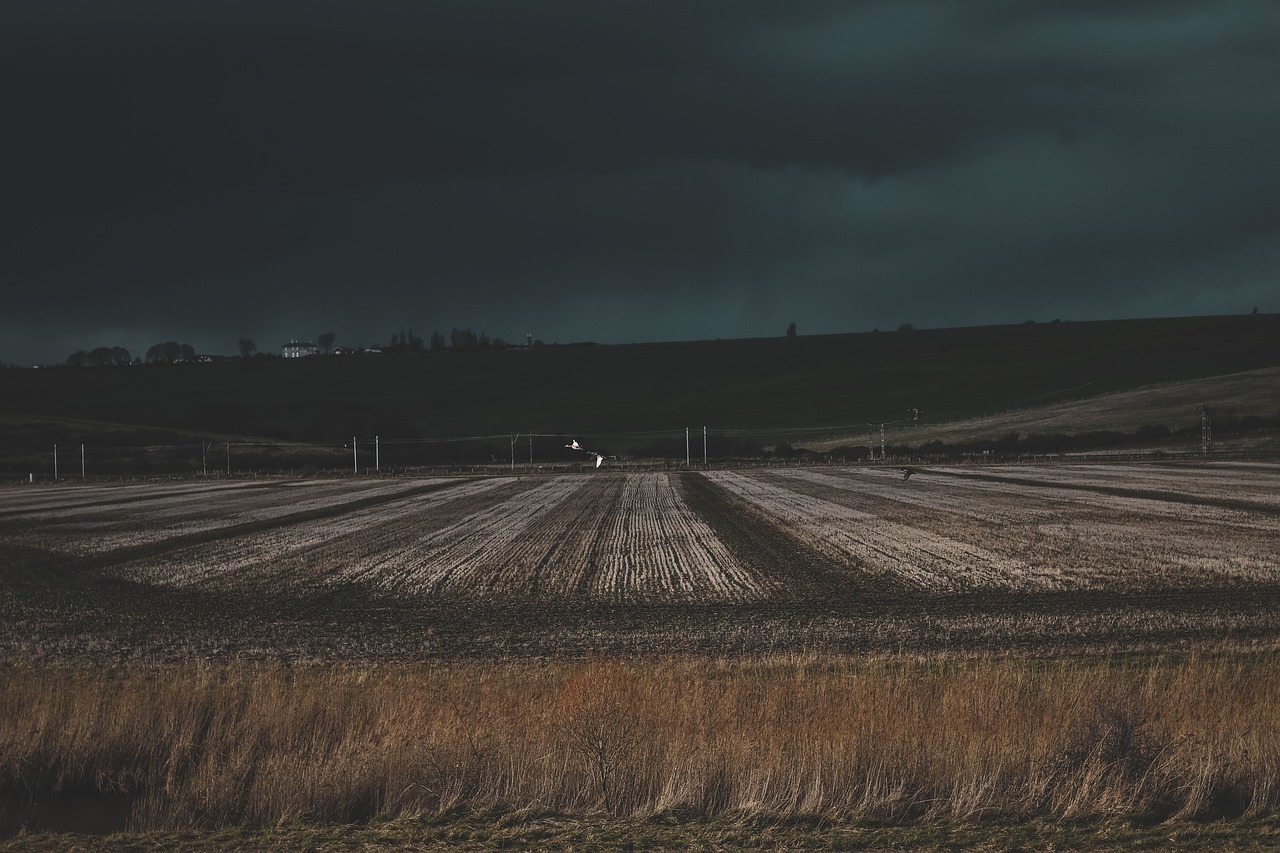 grass field farm free photo