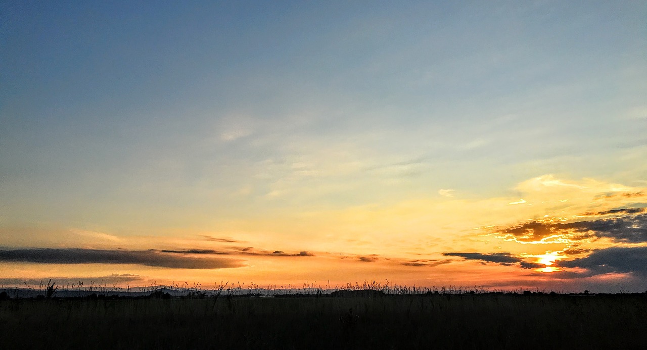 grass horizon landscape free photo