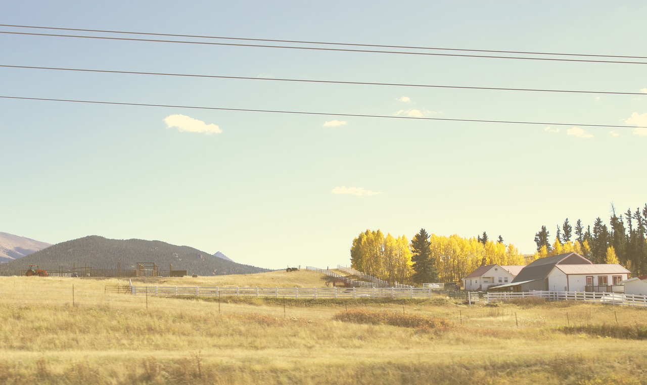 grass fields rural free photo