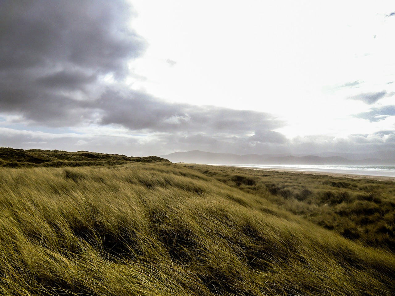 grass meadow ireland free photo