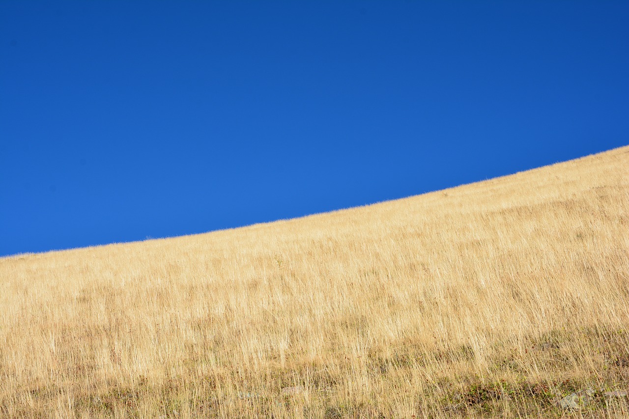 grass kaçkars nature free photo