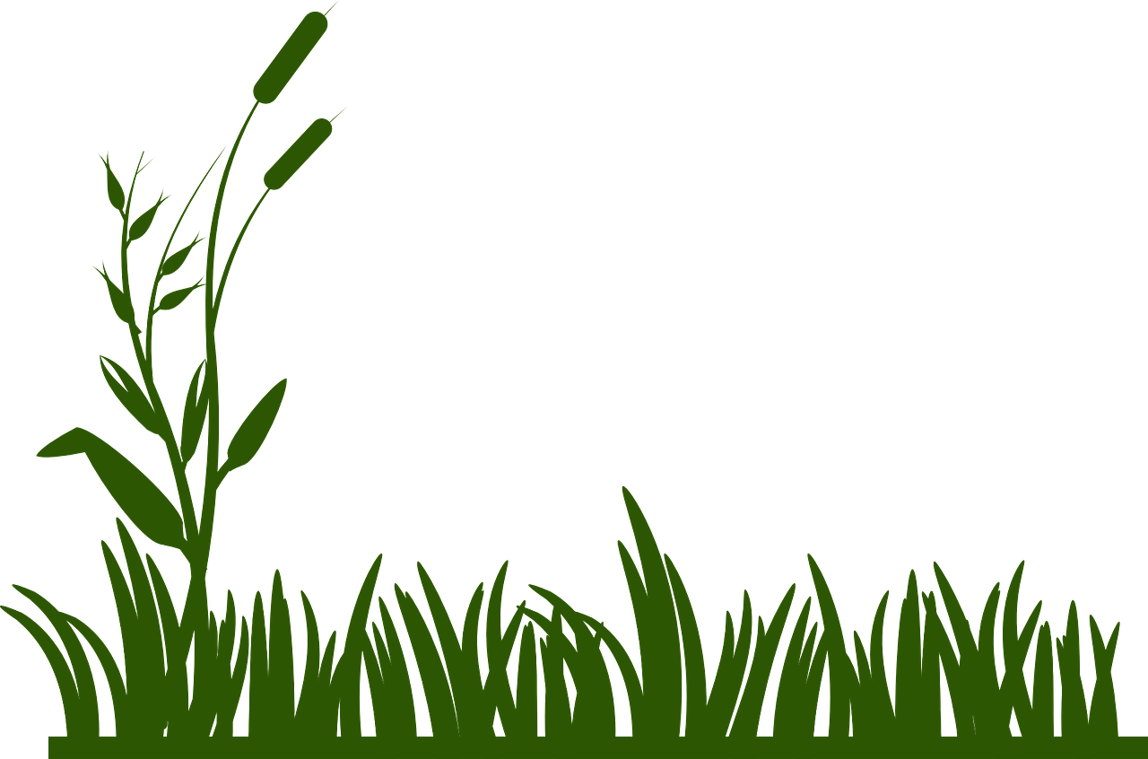 grass background green free photo