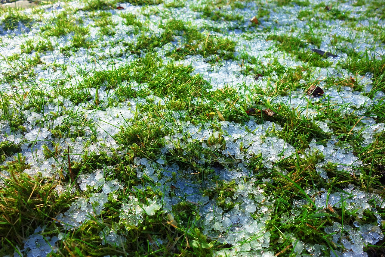 grass field ice free photo