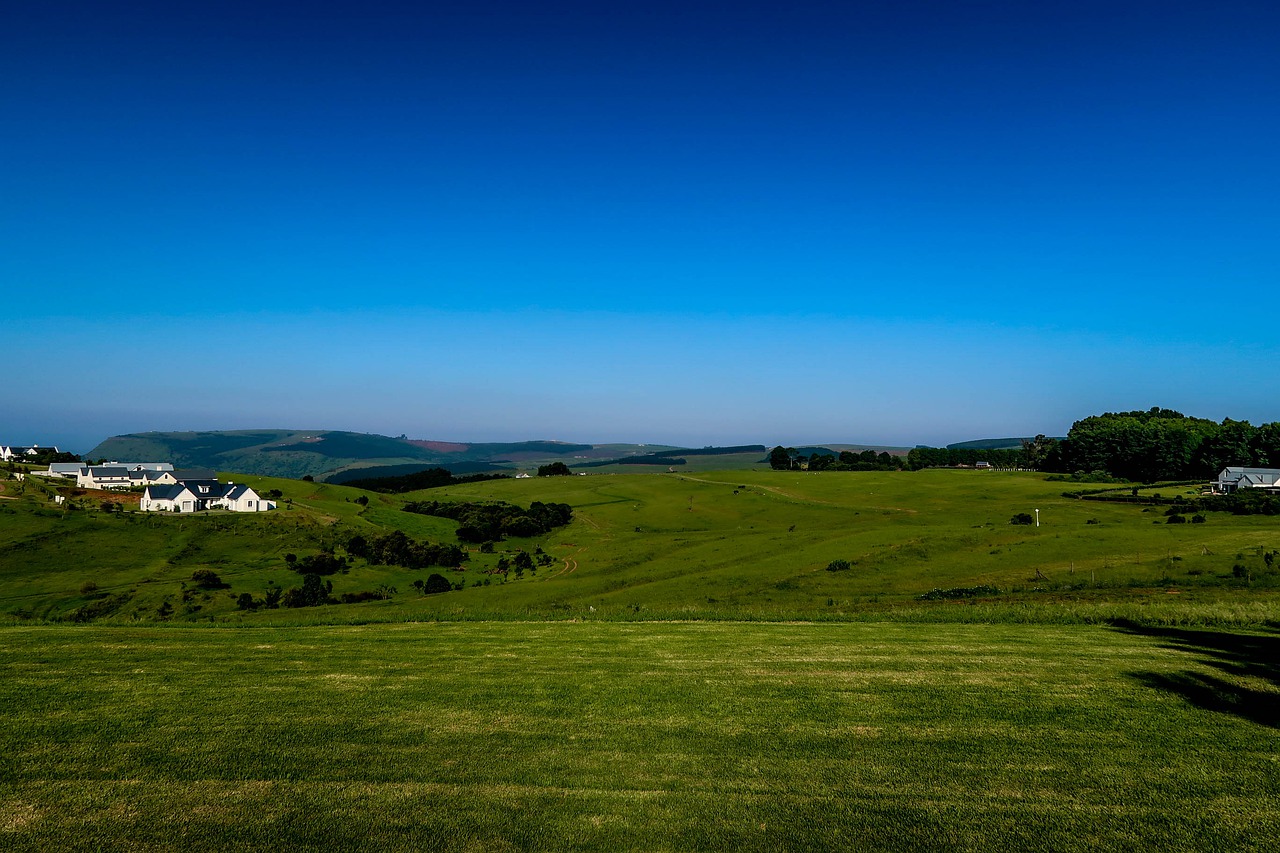 grass nature panoramic free photo