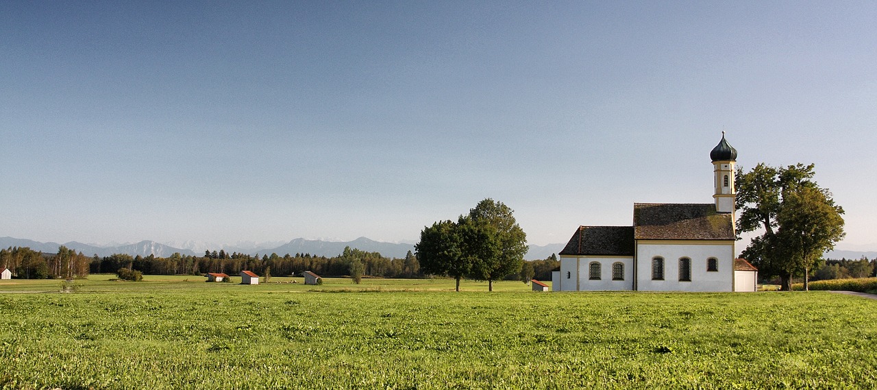 grass rural nature free photo