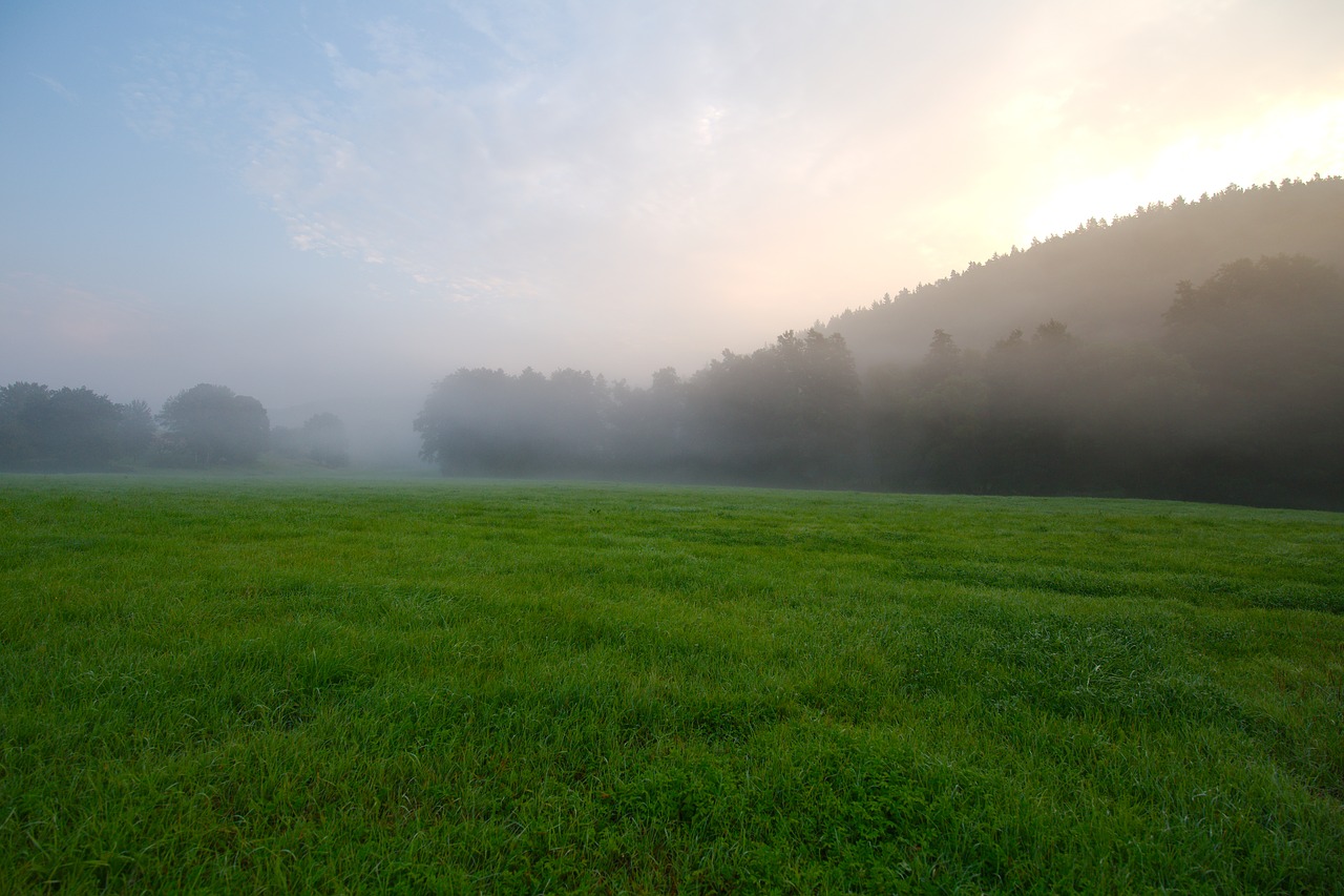 grass nature panorama free photo