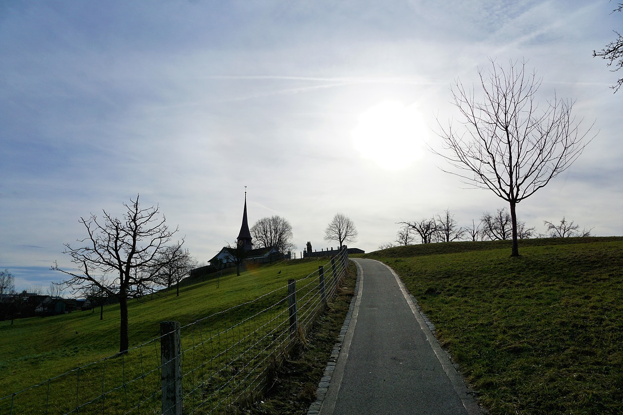 grass landscape tree free photo