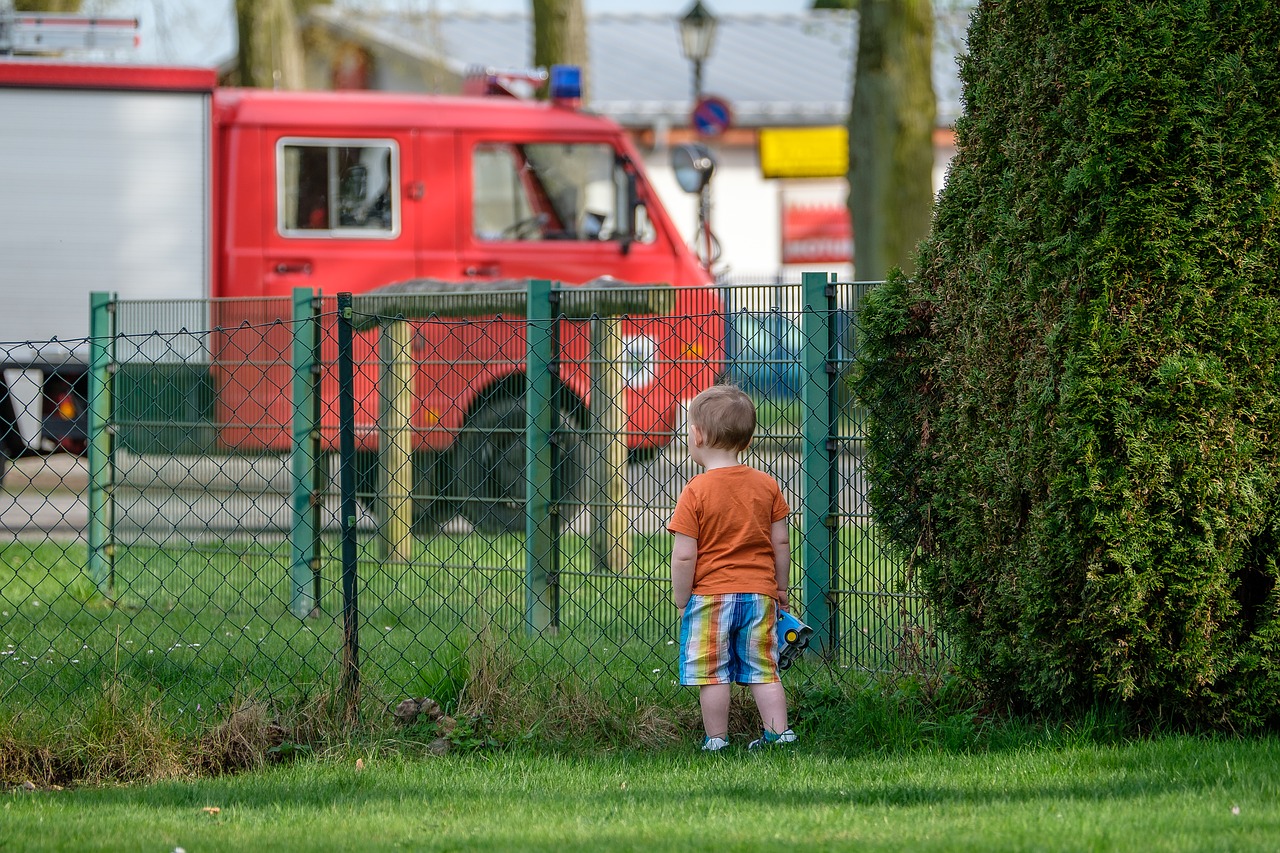 grass  human  child free photo