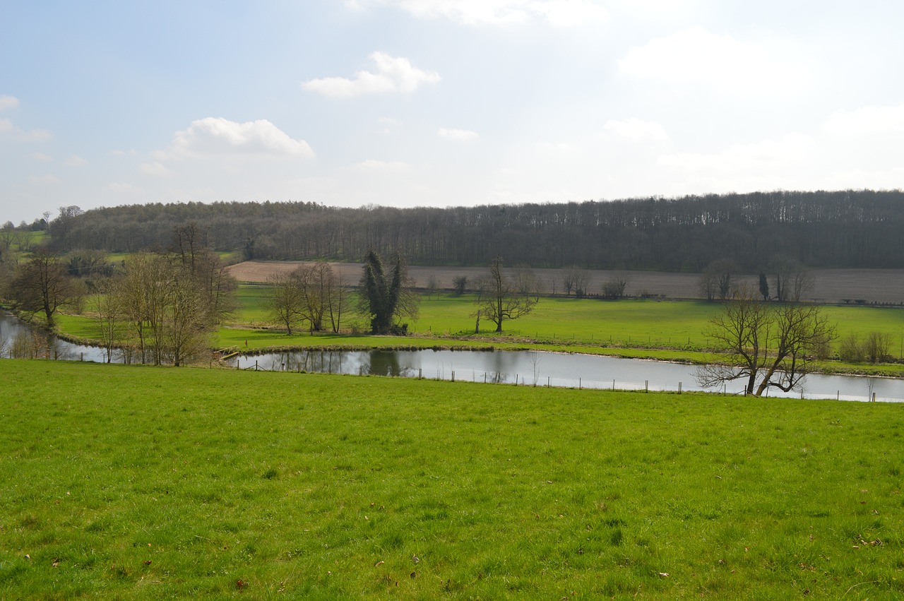 grass  landscape  panoramic free photo