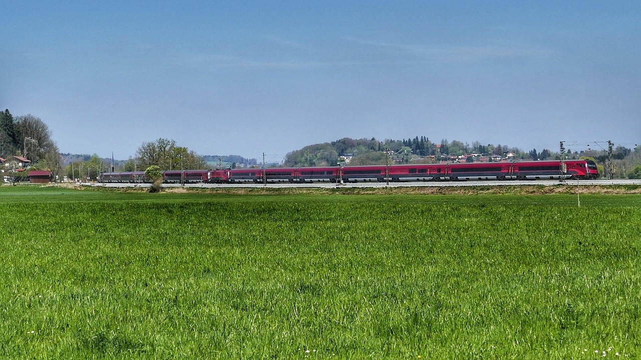 grass  panorama  field free photo