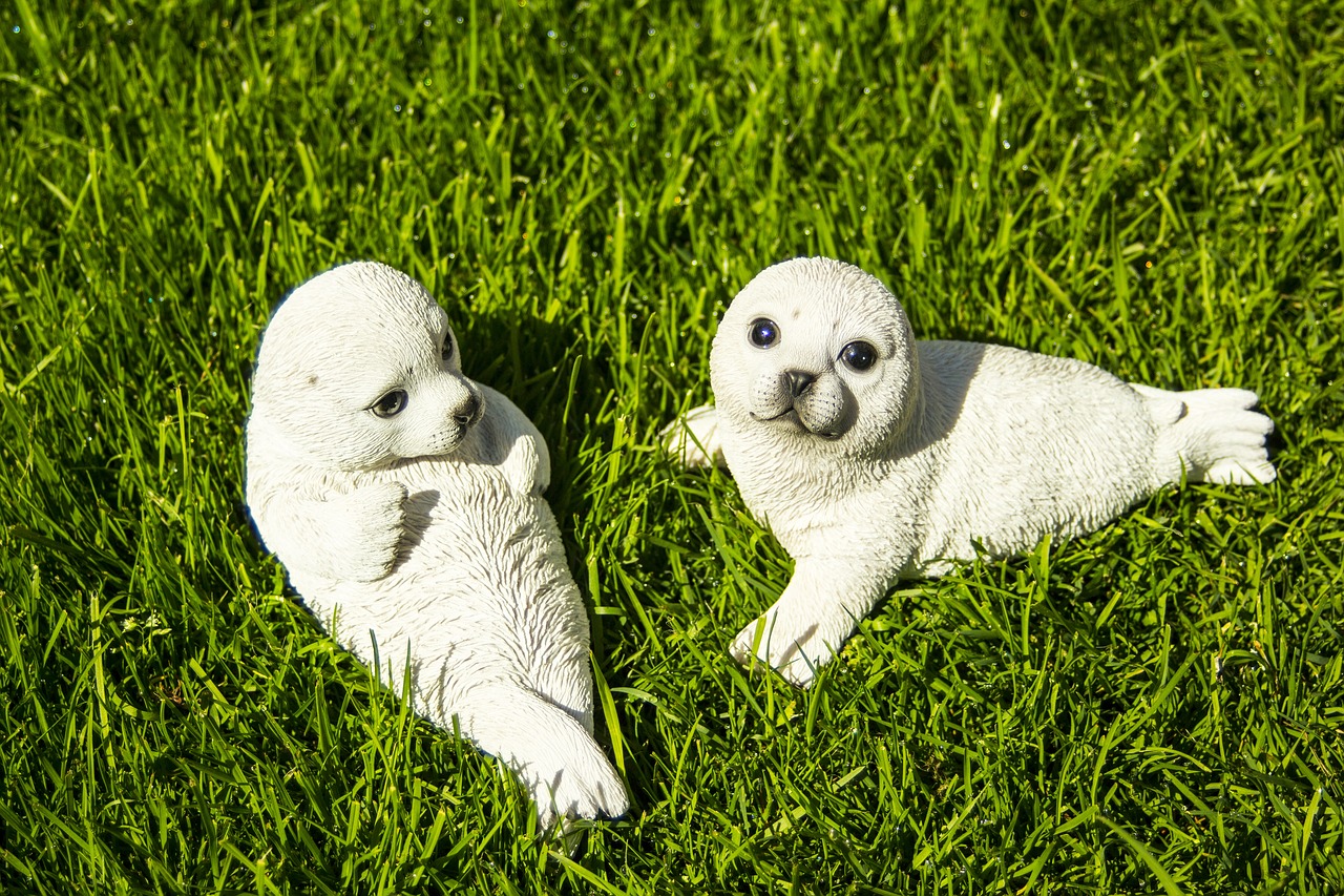 grass  cute  ceramic free photo