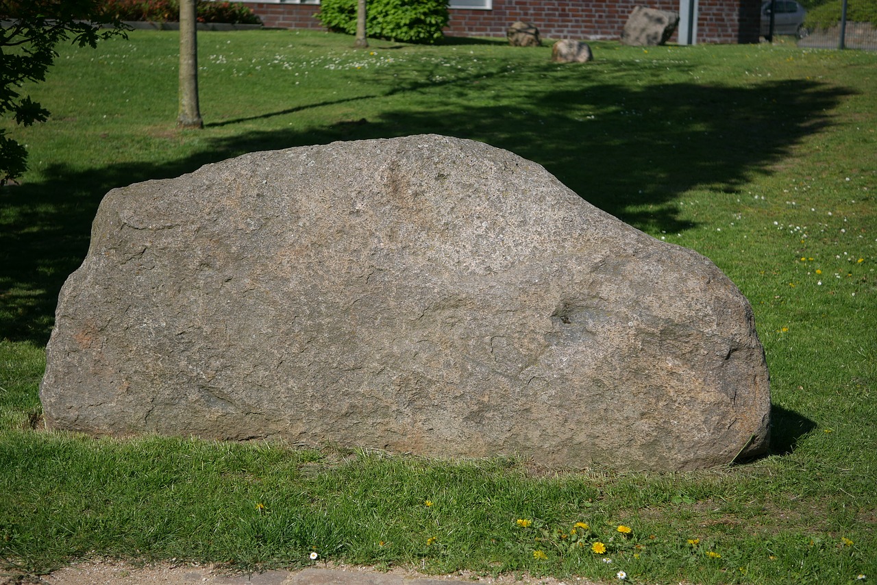 grass  nature  stone free photo