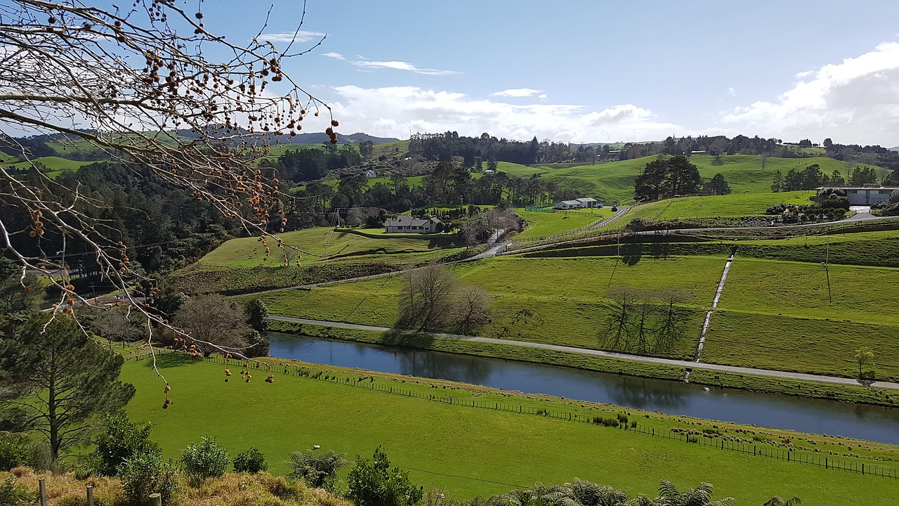 grass  hills  countryside free photo