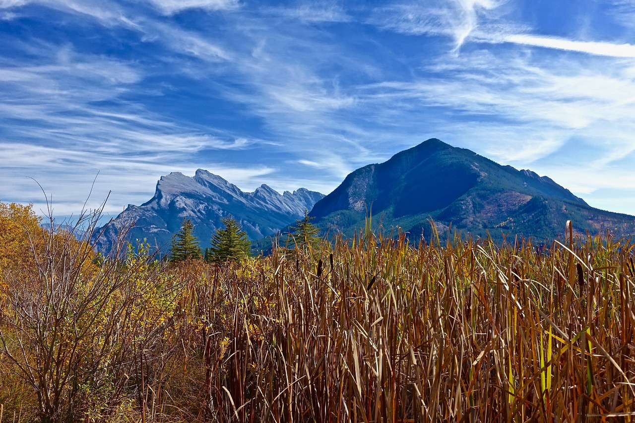 grass  mountains  nature free photo