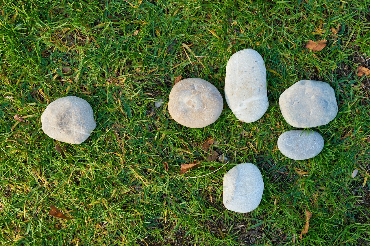 grass  stone  kennedy free photo