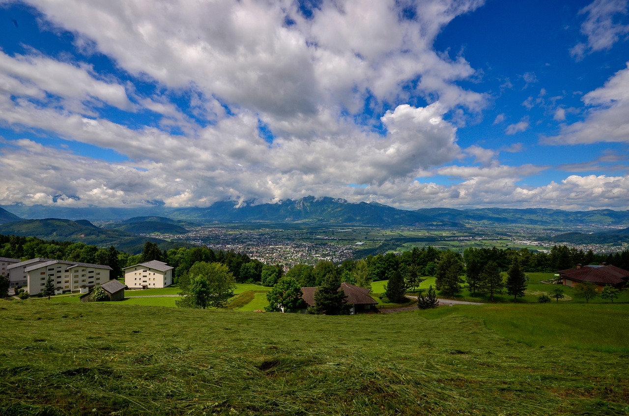 grass  landscape  nature free photo