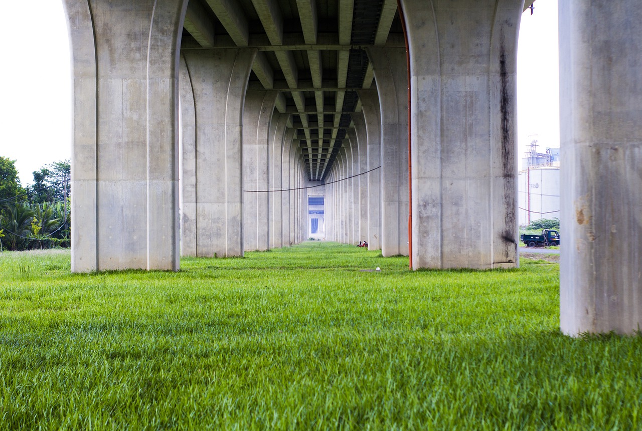 grass  field  bridge free photo