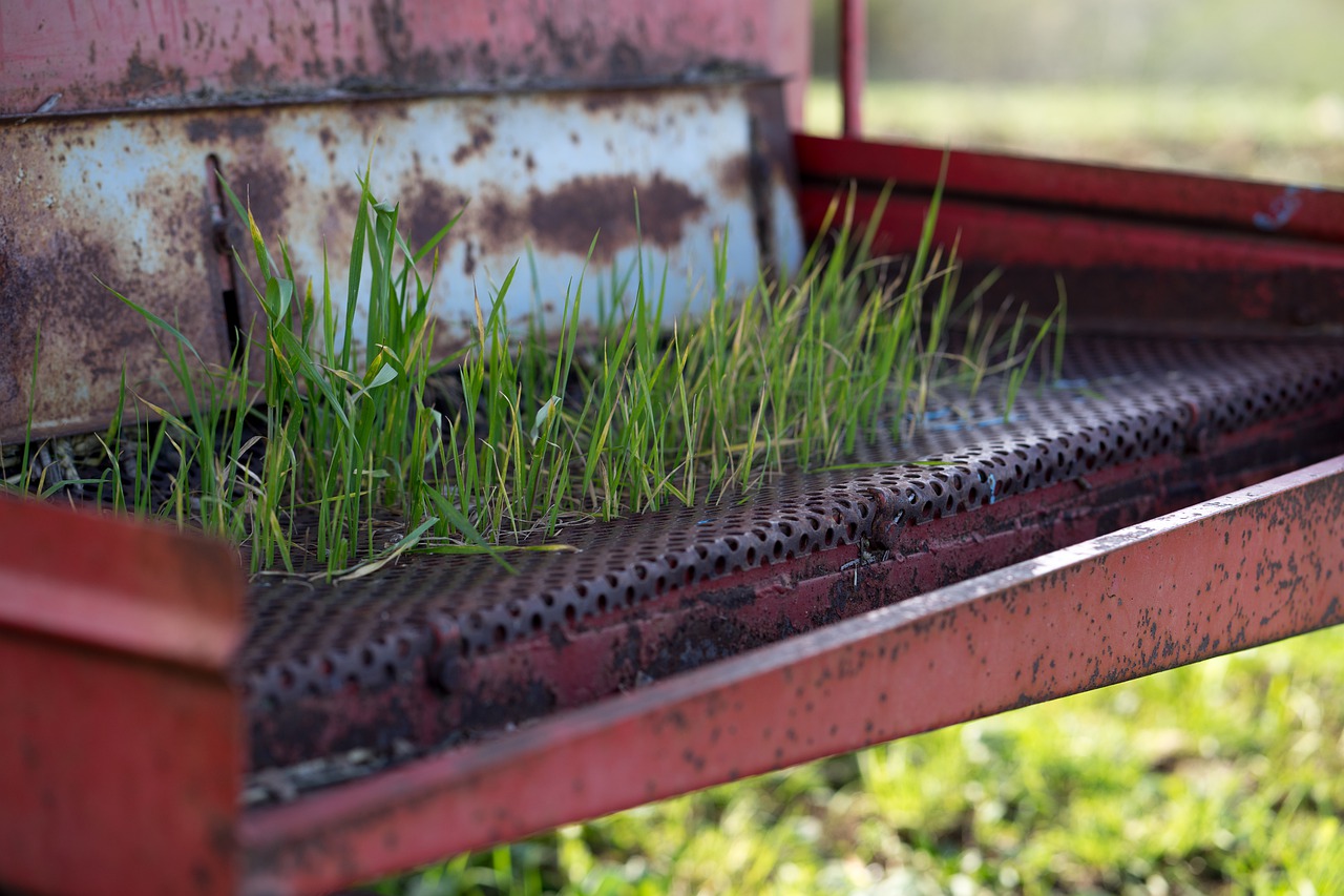 grass  garden  tractor free photo