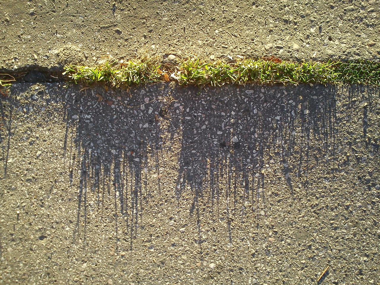 grass asphalt shadow free photo