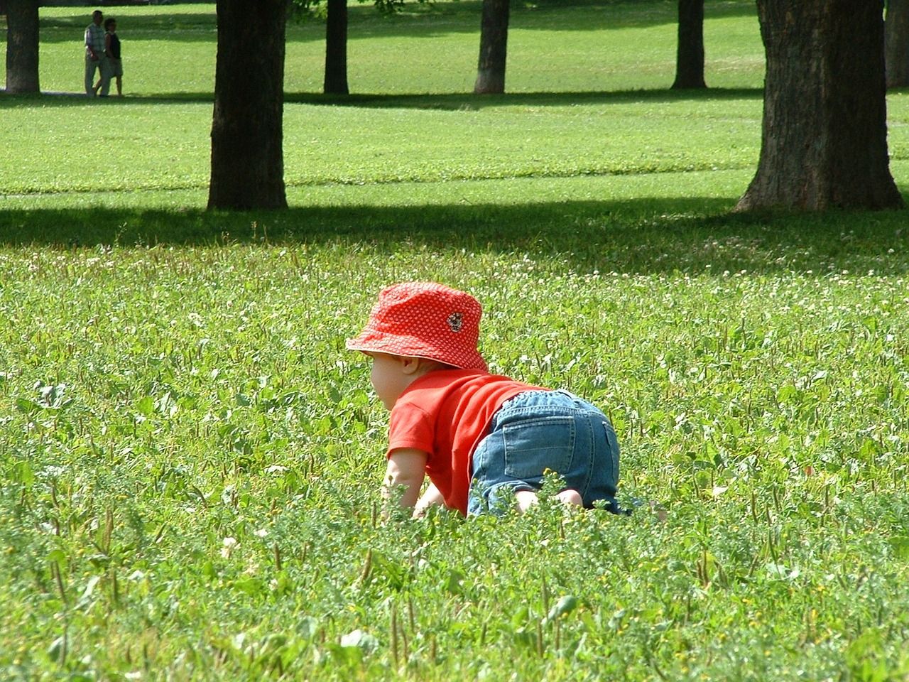 grass children park free photo