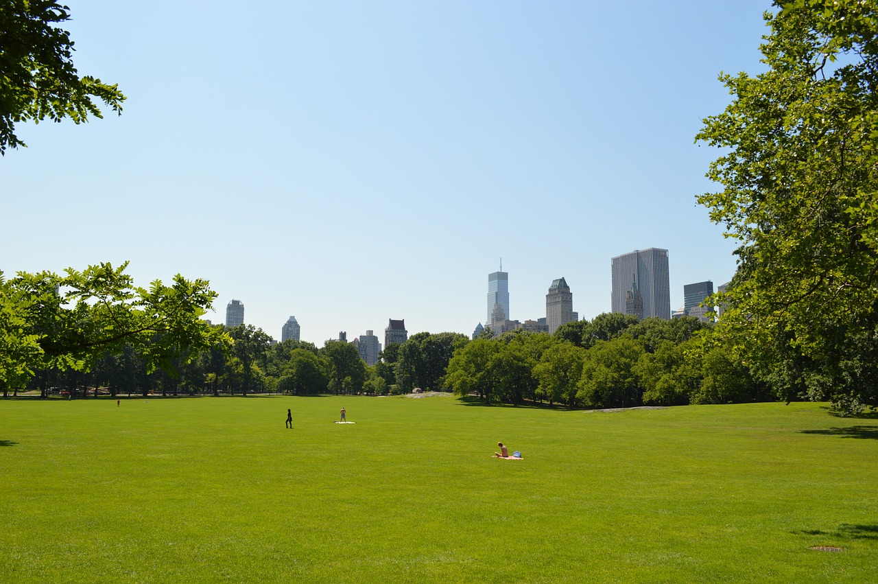 grass central park park free photo