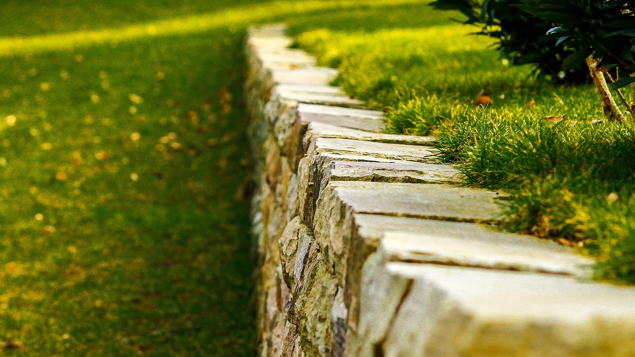 grass green stone free photo