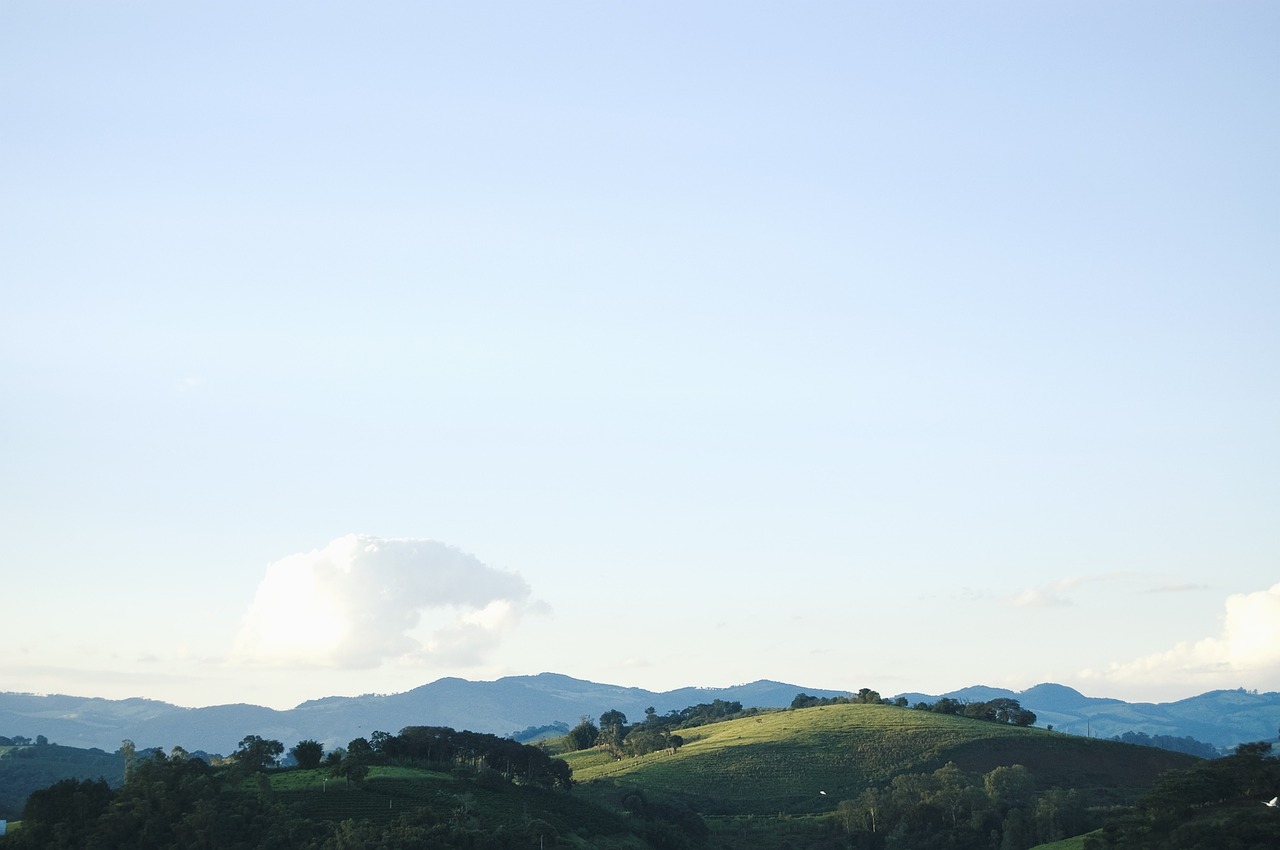 grass fields hills free photo