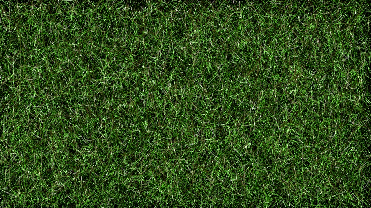 grass football lawn free photo