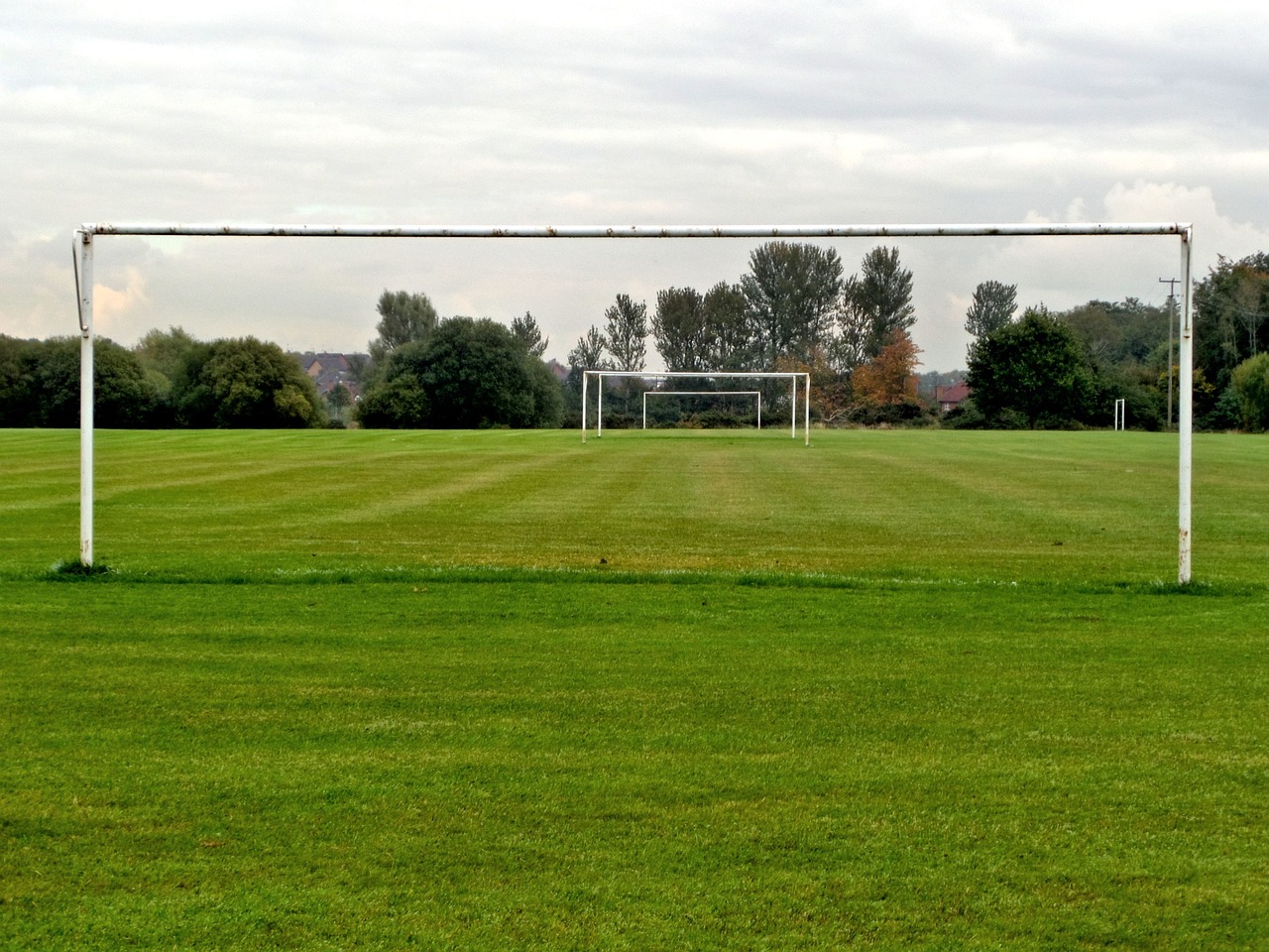 grass the pitch goals free photo
