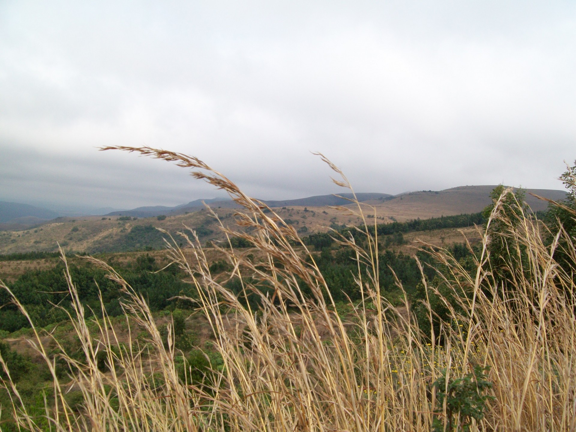 grass mountains distance free photo