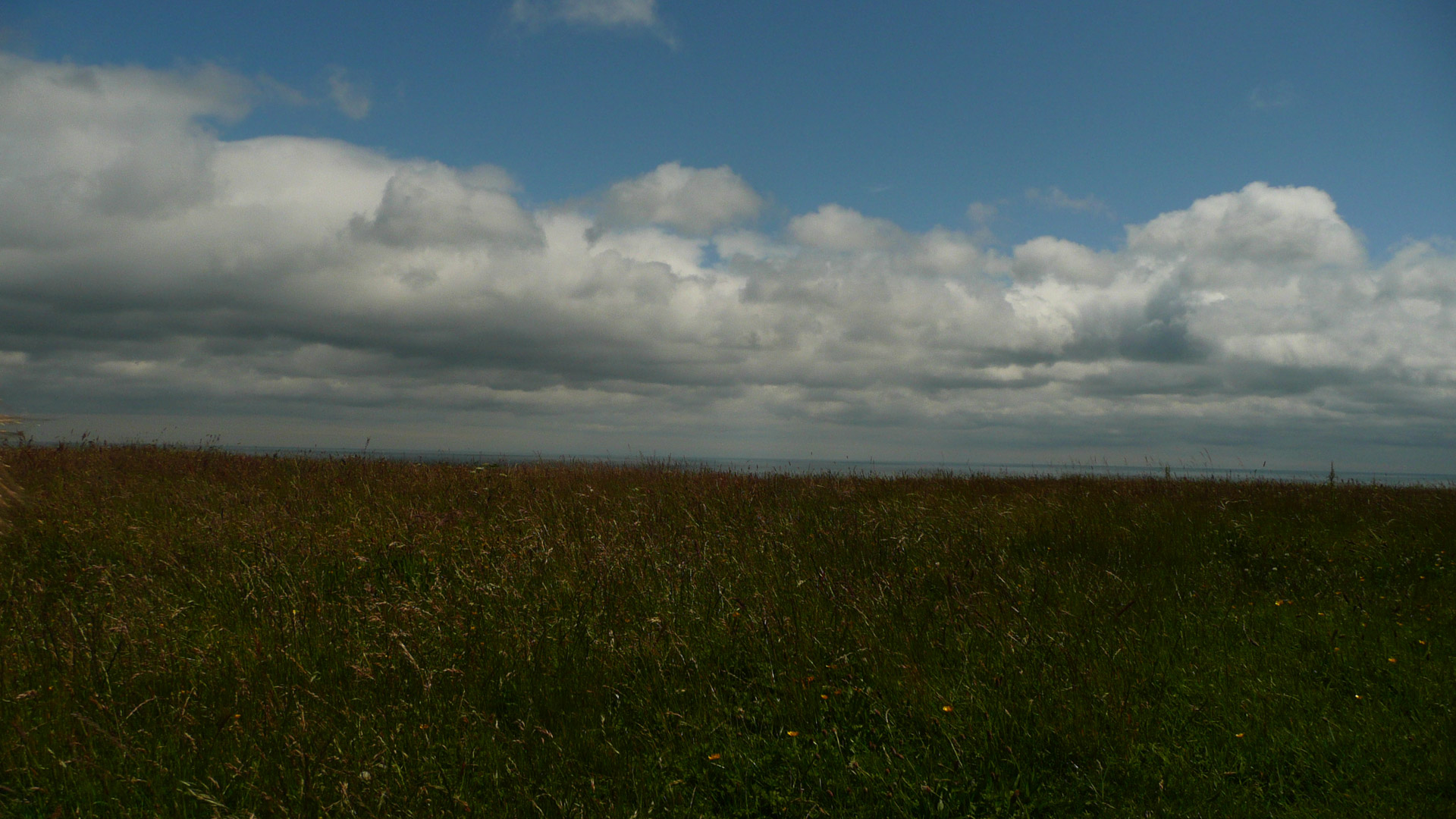 grass sky landscape free photo