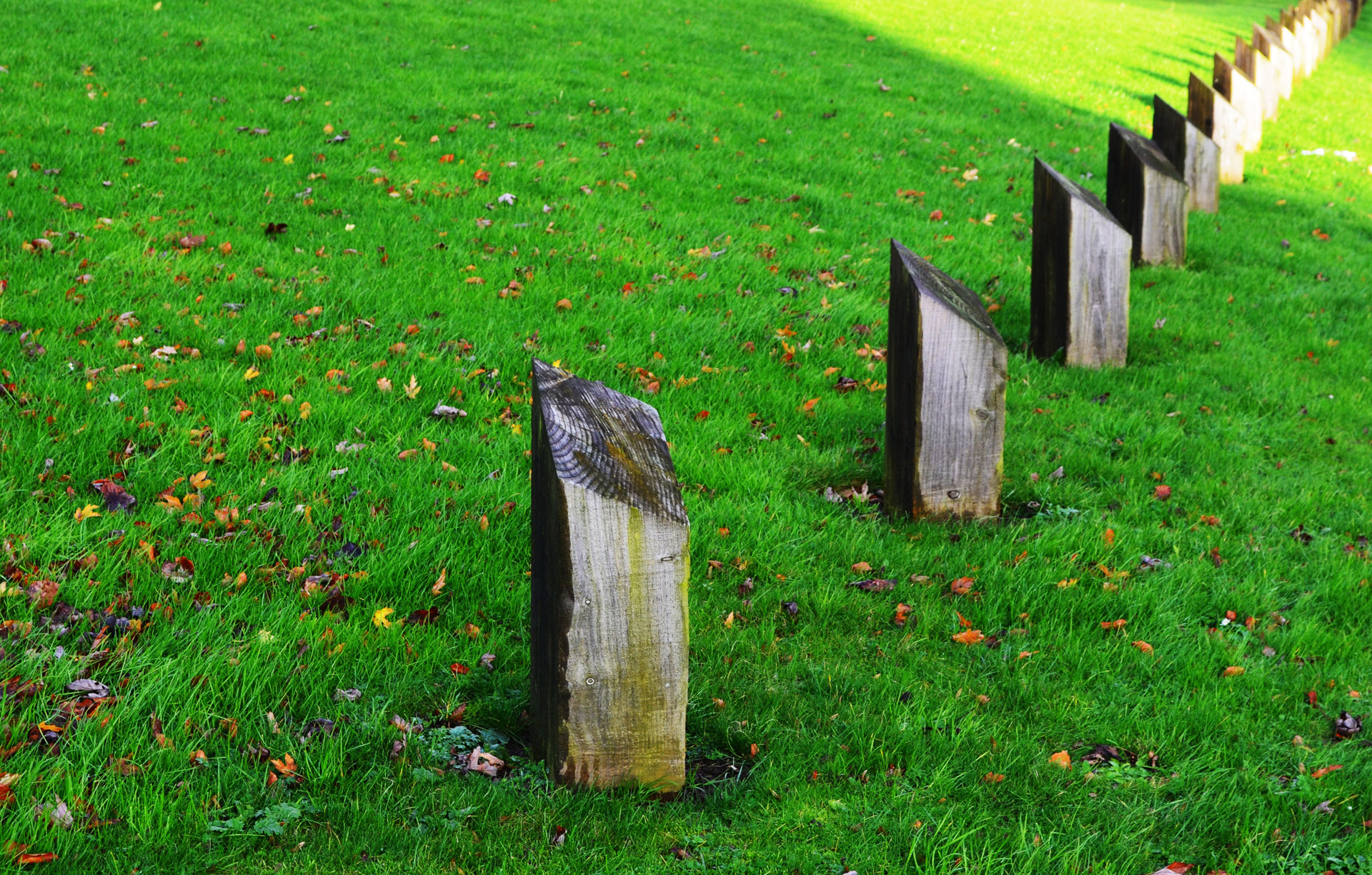 grass wood fencing free photo