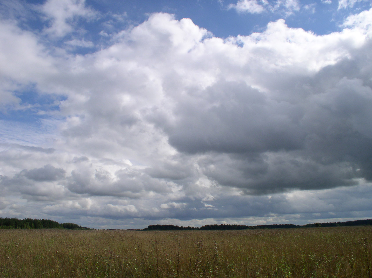 sky grass field free photo