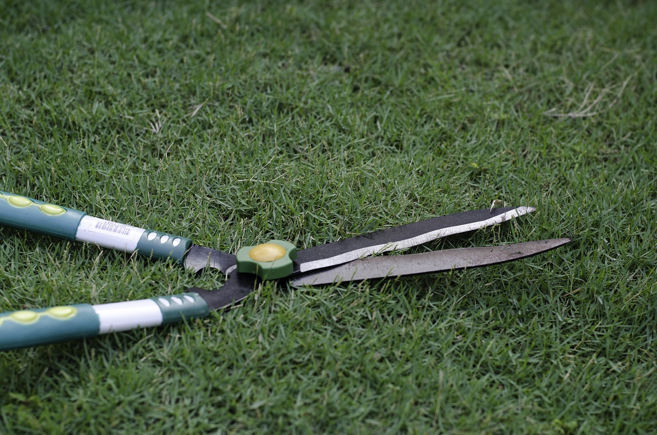 grass scissors in garden garden equipment grass scissor free photo