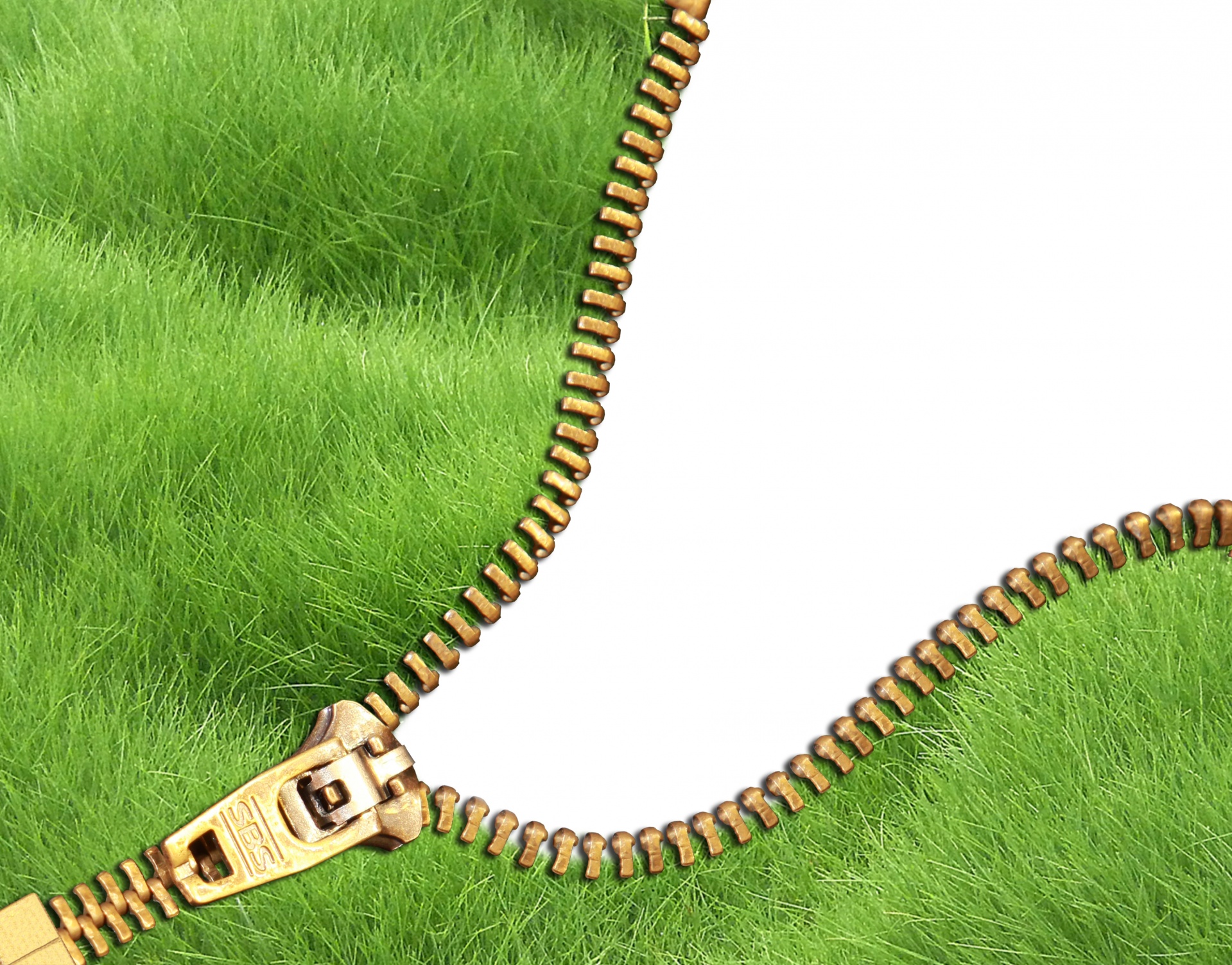 grass green zip free photo