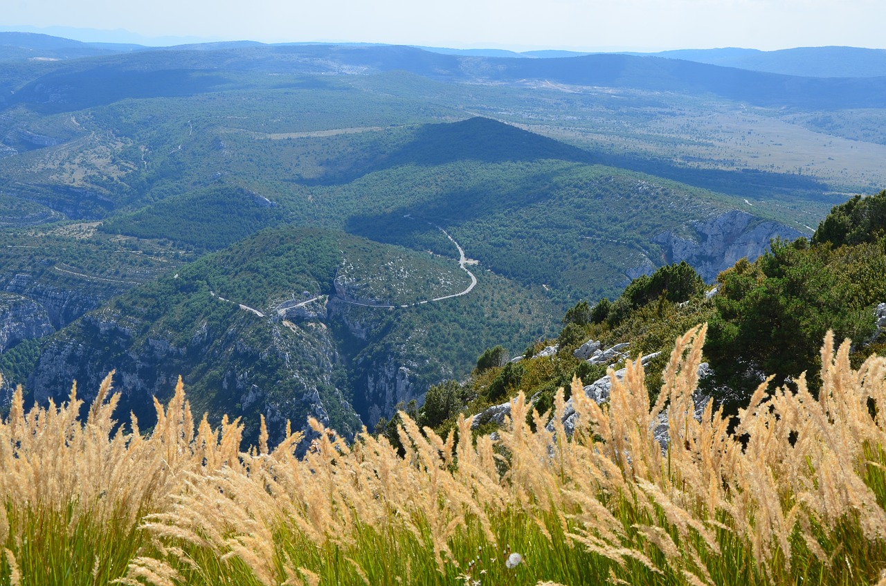 grasses mountain landscape canyon du verdun free photo