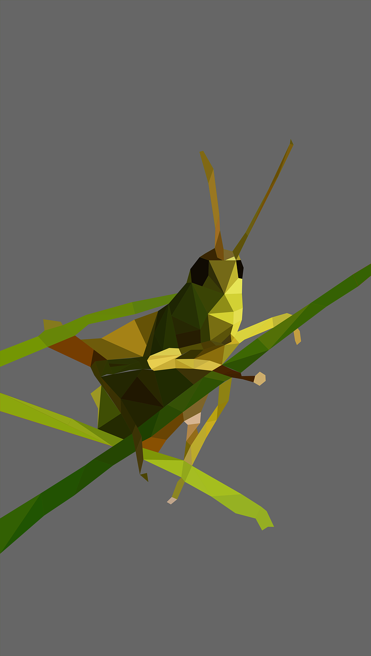 grasshopper low poly close free photo