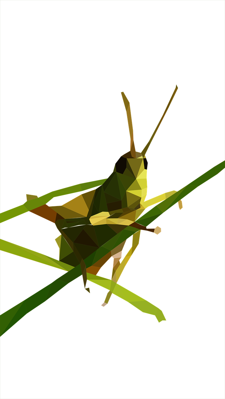 grasshopper low poly close free photo