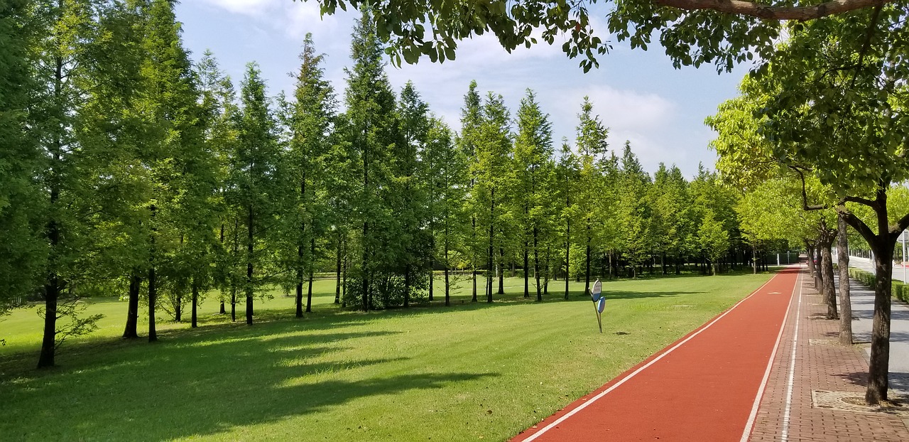 grassland trees athletic track free photo