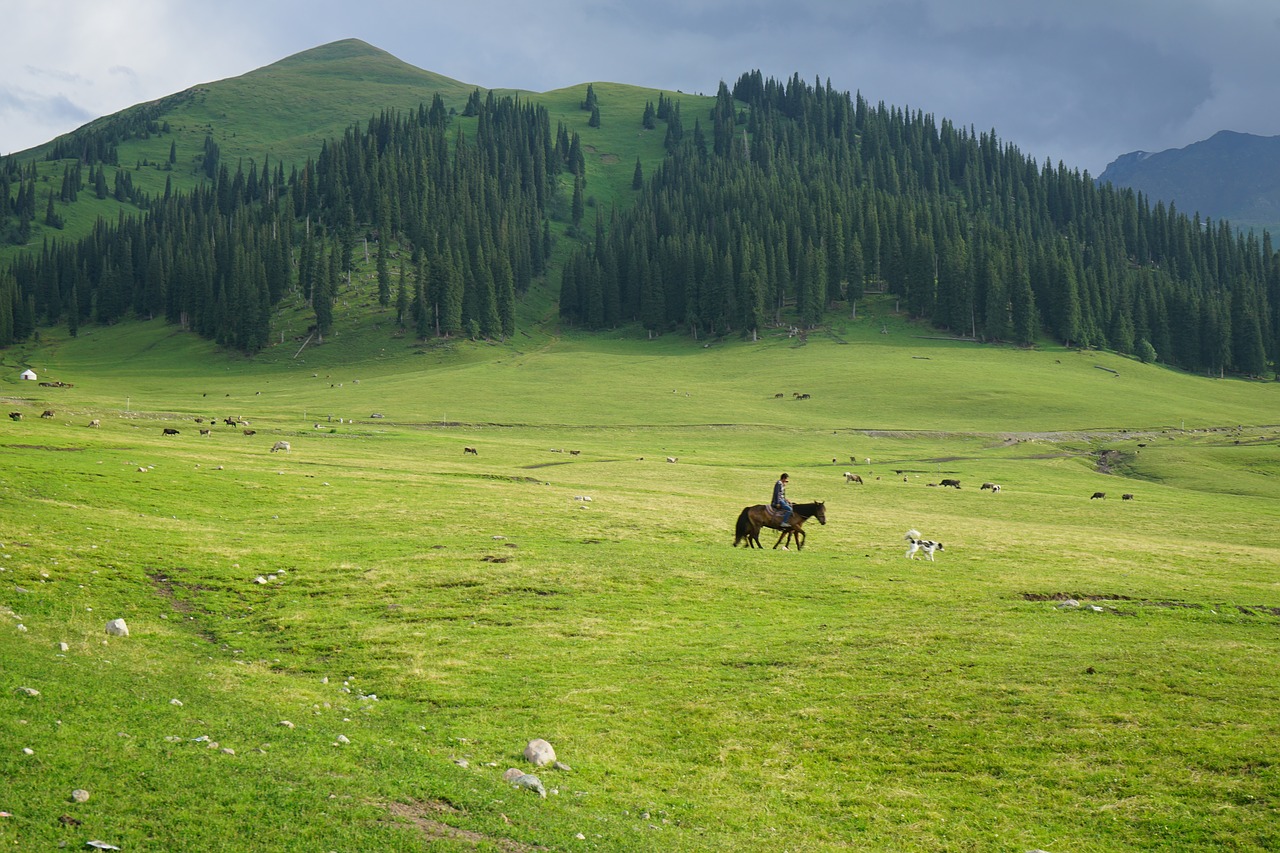 grassland  distant hills  horseback riding free photo