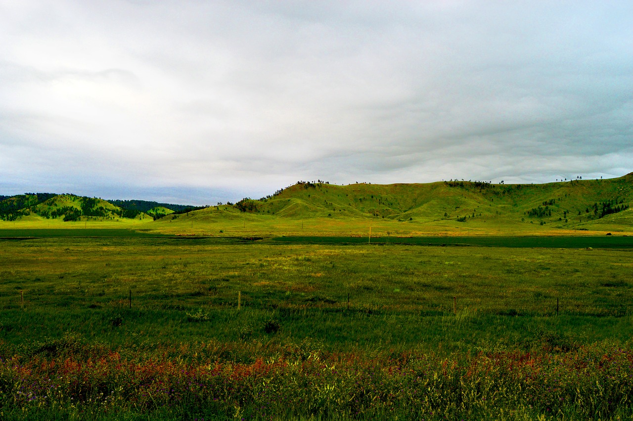 grassland  south dakota  horizon free photo